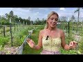 Growing a 10,000 sq ft garden entirely from SEEDS!: A tour!