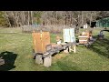 Repainting Hives in the Spring