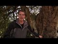 Battle Of Hastings: Secrets Of The 1066 Conquest | Dan Snow's Norman Walks | Chronicle