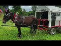 I Had A WAGON TRAIN Camp By The Farm Pond!