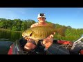 Sight Fishing ULTRA CLEAR WATER for GIANT MUSKIES!