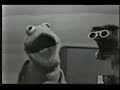 Kermit Plays the Banjo and Hawks Bacon