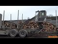 4K| VOLVO FH16 6X4 Timber Truck Unloading