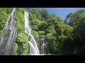 Beautiful Forest Nature Sounds for Healing - White Noise help You Sleep, Meditate, Relax, and Study