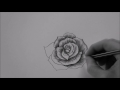 How to draw a Rose In 10 Minutes step by step Real Time