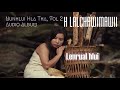 H LALCHAWIMAWII | NUNHLUI HLA THA VOL 2 | AUDIO ALBUM | MIZO CLASSIC SONG