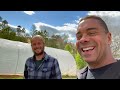 Chicken Composting System Tour // The Hollar Homestead