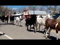 Great American Horse Drive, Maybell Co  05/03/15