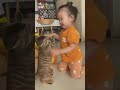 the funniest collection of animal videos 🤣 cute pet cats and dogs🤣🥰