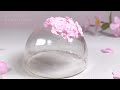 Cookie & Candy of Sumikko Gurashi Snow Globe with Cherry Blossom