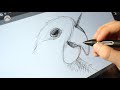 DIGITAL ART - Which App should you use? | Drawinglikeasir