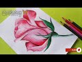 Simple rose art! How to draw a rose with color pencil sketch step by step?#rose #art #howto #drawing