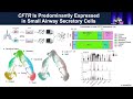 Pathways Balancing Basal Mucin and CFTR-Mediated Fluid Secretion in (...) - Kenichi Okuda, MD, PhD