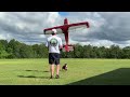 9 Minutes Of DOGS VS RC Planes