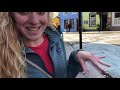 Dingle 1 and Dingle 2 (Overseas Tour, pt 4/5) | Petersen Vlogs