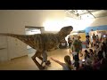 Walking With Dinosaurs at Brooklyn Children's Museum