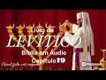 LEVÍTICO CAPÍTULO 19 #biblianarradaemaudio