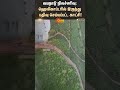 Wayanad Landslide: Footage recorded from a helicopter! | Kerala | Flood | Heavy Rain | Sun News