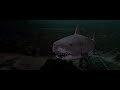 (Jaws 3-D|1983) Sharks Screen Time