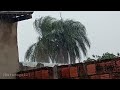 Chaser vlog 06: Formação de Shelf Cloud, trovões e raio