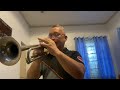 WHEN I’M GONE  - Albert Hammond (Trumpet) cover