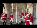 SILLY Tourist Wrestles Horse Reins with King’s Guard