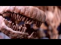 Massive dinosaur skeleton spills out of NY museum