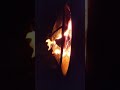 Cedar fire ASMR