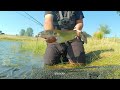 Secret Easy Bank Fishing Access Summer Catfish and Carp Explained (Pardee Reservoir)