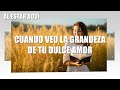 MIX MÚSICA CRISTIANA DE ADORACIÓN A DIOS - MIX MÚSICA CRISTIANA EXITOS - CON MI FE TE ALCANZARE