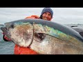 All 17 Tuna Species -  A Comprehensive Coverage