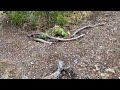 Exploring an Old Cemetery and Secluded Cabin From the 1800s