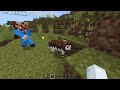 I Coded Armadillos to Win Your Minecraft Vote