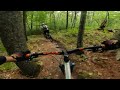 Bear Brook State Park MTB.  The best beginner flow trails in southern New Hampshire
