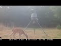 Deer Feeder Cam: Browning Spec Ops Edge Trail Camera June 8-12, 2024