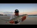 Surf Fishing the Sunset Bite and Caught This! (Summer Fishing Tips)