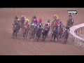 Mystik Dan (USA) - Kentucky Derby G1 2024