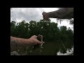Using live baby Bluegills on bobbers for bait... (Summer Trip)