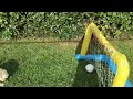 I taught my DOG how to play soccer.