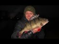 HOW to catch BIG PERCH