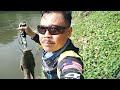 Ganasnya penunggu sungai liar || mancing ikan lele dumbo monster || umpan jitu ulat jerman