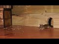 Cat TV ~ Mice in The Jerry Mouse Hole 🐭 8 HOURS 🐭 Videos for Cats
