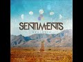 Sentiments - City 17