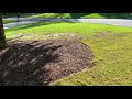 Zoysia Grass Seed Video 11.  Small sod patch