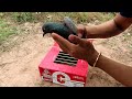 Easy Quick Pigeon Trap Using Cardboard Box And Woods - Really Creative Bird Trap