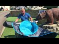 How to fold a pop up tent