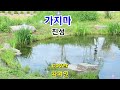 #가수차여인#가지마#진성)곡