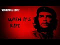 Che Guevara we need you....