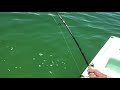 Clinton clobbers his first Tarpon