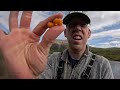 3 Days Solo Camping, Fishing, Hunting & Foraging Food in Arctic